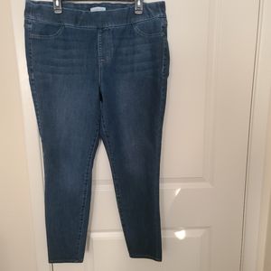 Lane Bryant Denim Skinny Fit Jeggings.